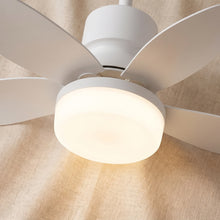 Ventilador de Techo Decovea Aire — Motor DC Silencioso con Luz LED y Mando · 106/132 cm